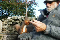 Link to Roger Bush feeding a squirrel, on YouTube